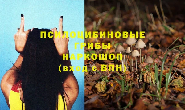 герыч Бронницы