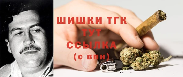 герыч Бронницы