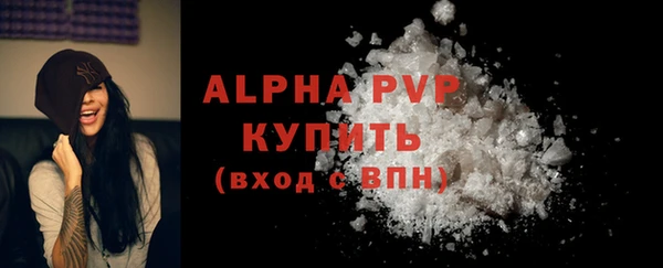 спиды Бородино