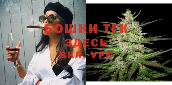 спиды Бородино