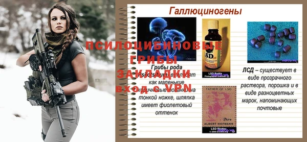 спиды Бородино