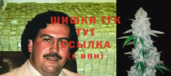 спиды Бородино