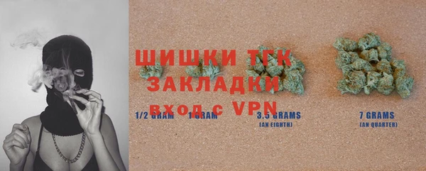 индика Бабаево