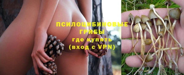 спиды Бородино