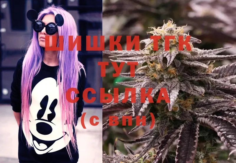 Шишки марихуана OG Kush  mega ссылка  Вилючинск 